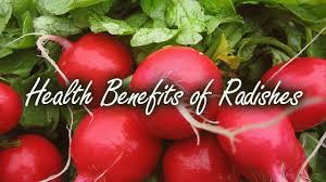 Benefits Of Radishes