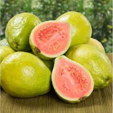 Guava Fruits Lifestyle