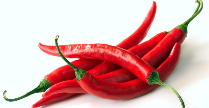 Hot Chilli Pepper