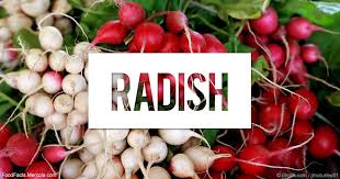 Radishes