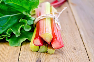 Rhubarb Benefits – Evergreen Tips