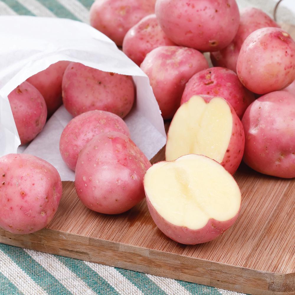 Healthiest Potatoes