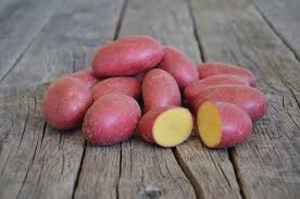 The-Red-potato