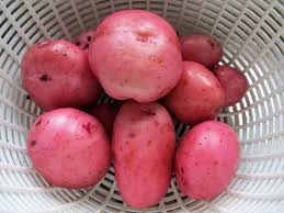 The-Red-potatoes