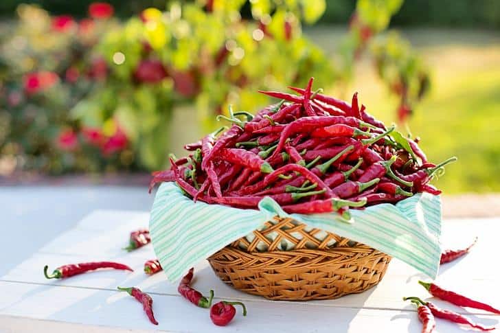 benefits-of-Chili-Pepper