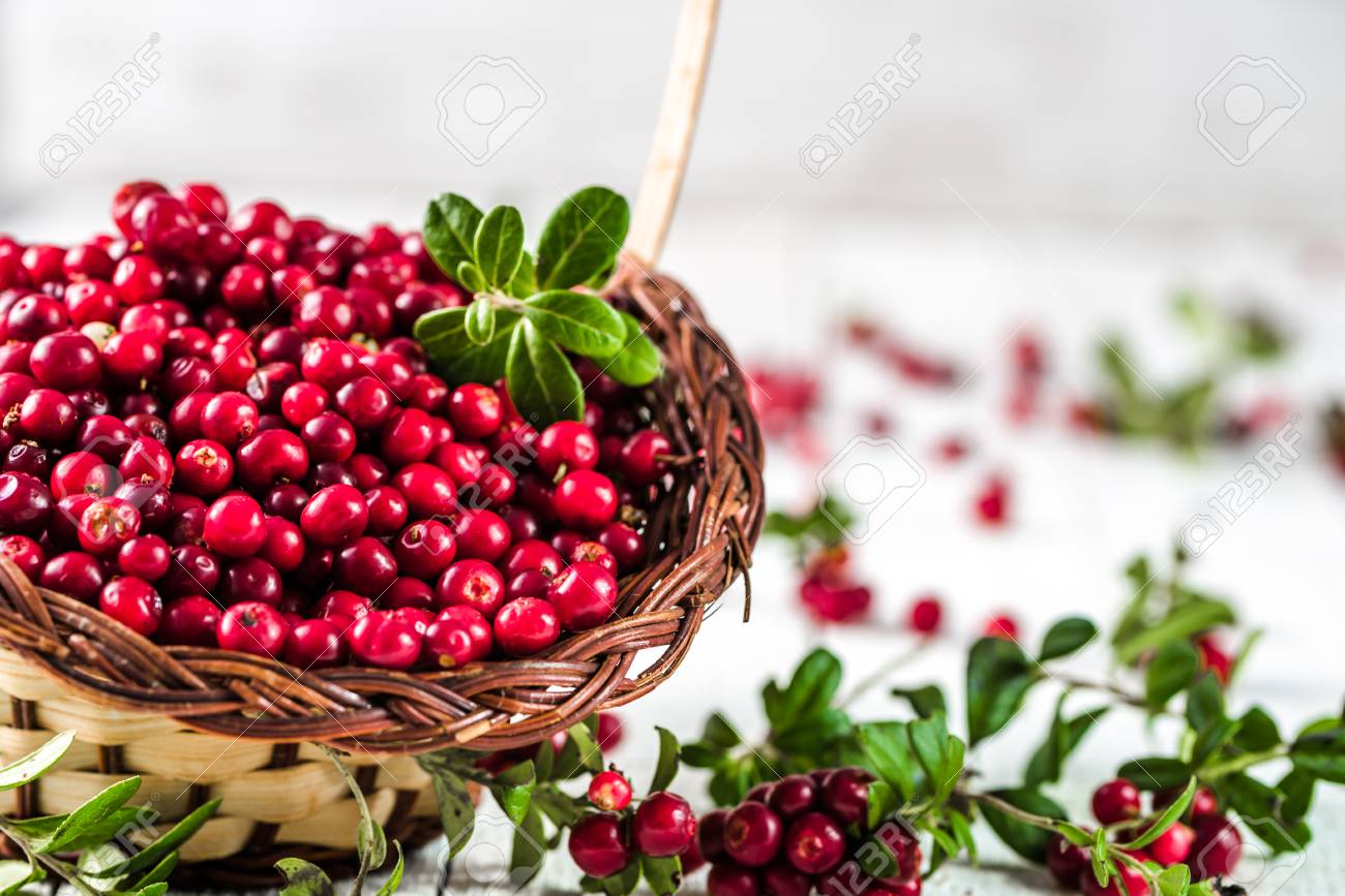 Fresh cranberries