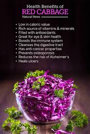 health-red-cabbage