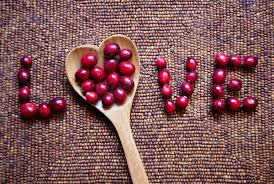 still-life-fruits-love